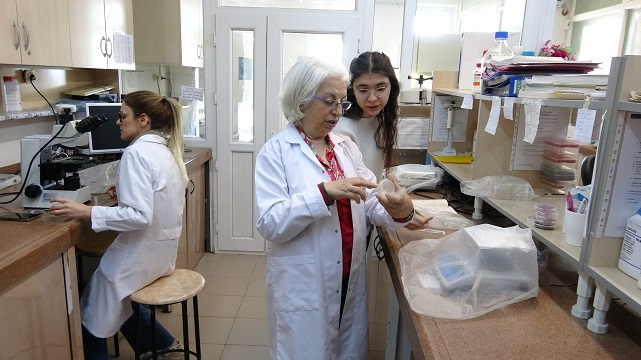 Türkiye’de saha çimleri artık daha dayanıklı olacak