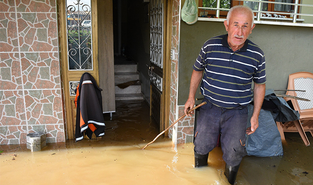 Terme'de sel kabusu! Ahırları ve evleri su bastı