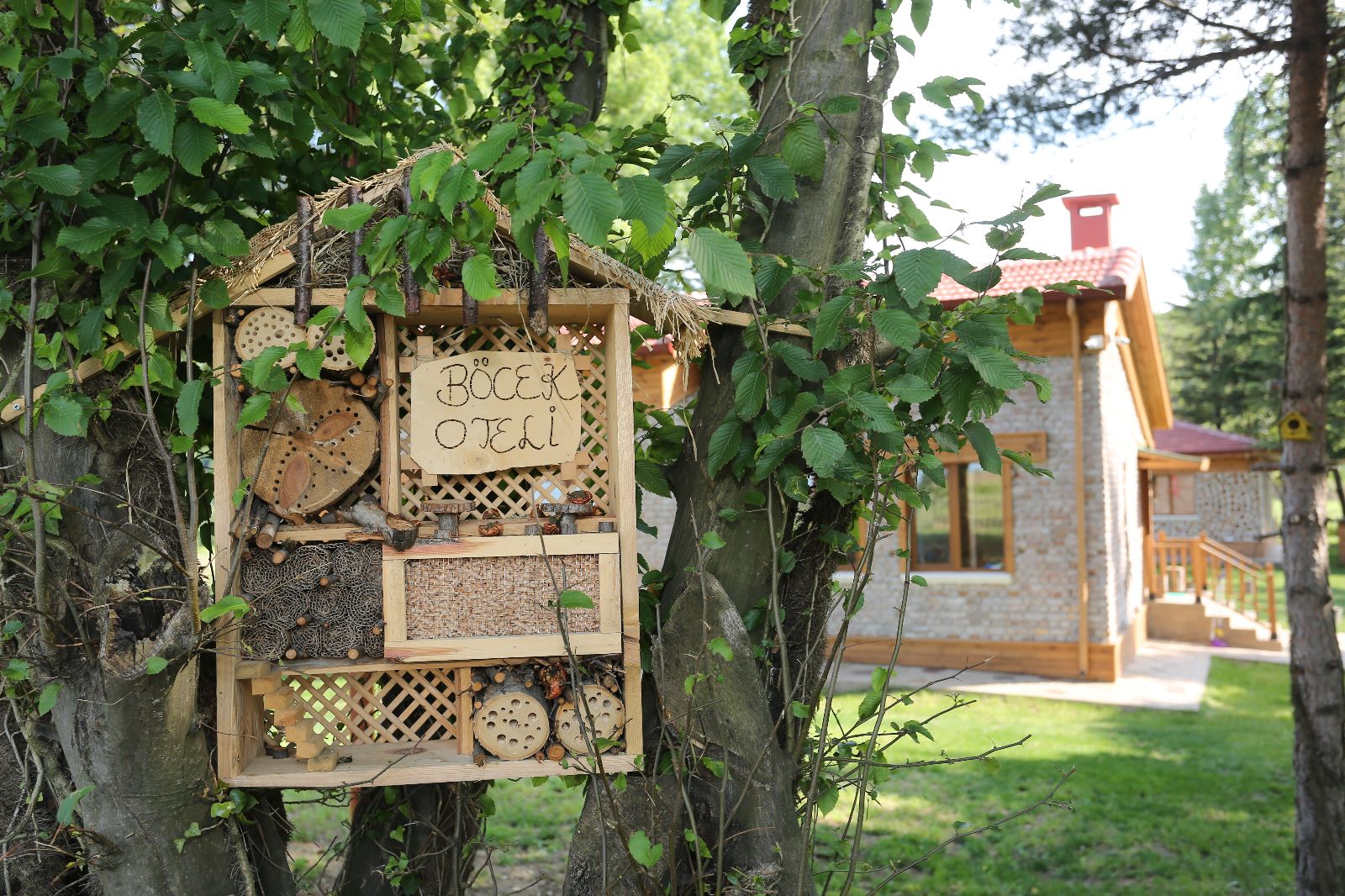 Emine Erdoğan'dan Canik Belediyesi'ne tebrik