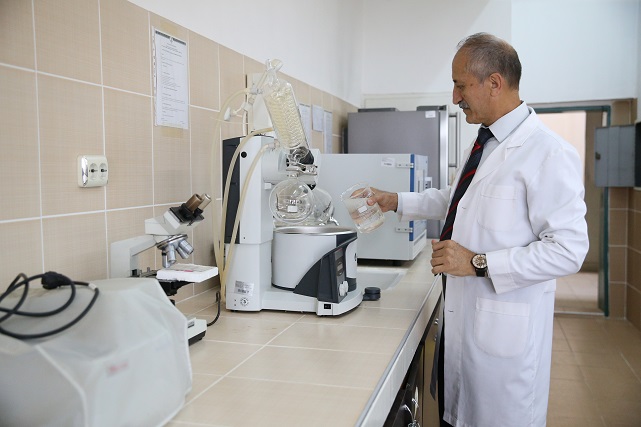 Kenevir küspesi yeminin kümes hayvanlarına etkisi