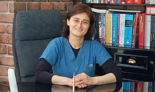 Kurban Bayramı öncesi şap tehlikesi