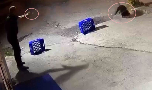 Tartıştığı eğlence mekanı sahibinin ağaca bağlı köpeğine bir şarjör mermi sıktı