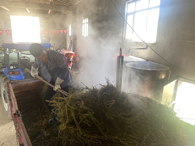 Kardiyoloji uzmanı tıbbi aromatik bitki yetiştiriyor