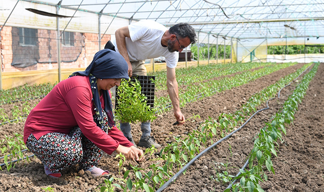 4,5 yılda çiftçilere 26 milyon liralık destek
