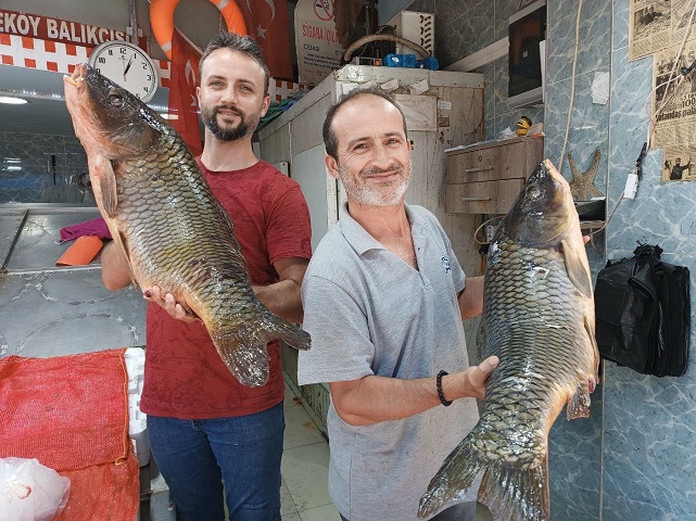 Samsun'da balık tezgahı şenlendi! Olta mezgidi 80 TL