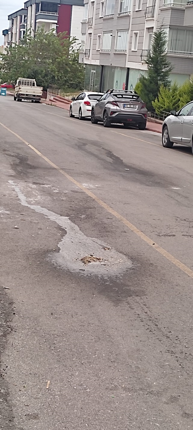 Karasamsun’da çöp isyanı! Sokaklar kokuyor