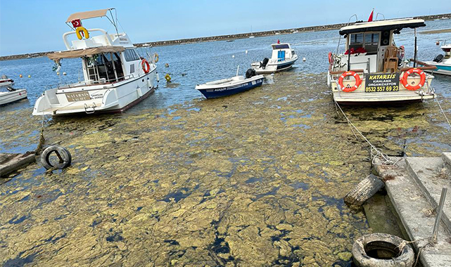 Çan’dan Demir’e Kurupelit tepkisi