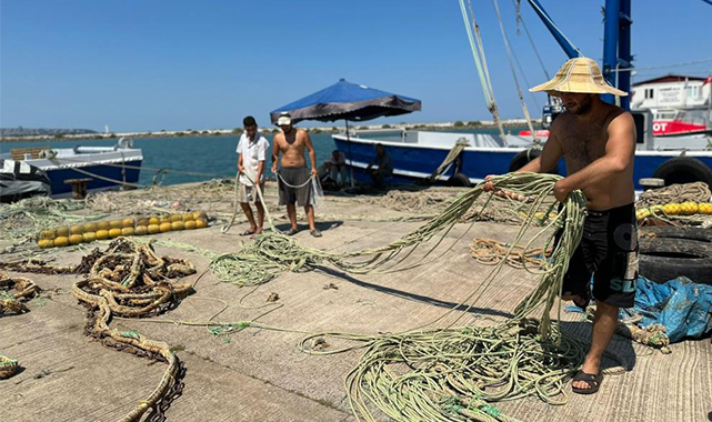 'Bu sene denizde mezgit ve hamsi var'