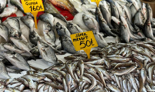 Samsun'da sezonun ilk balıkları tezgahlarda