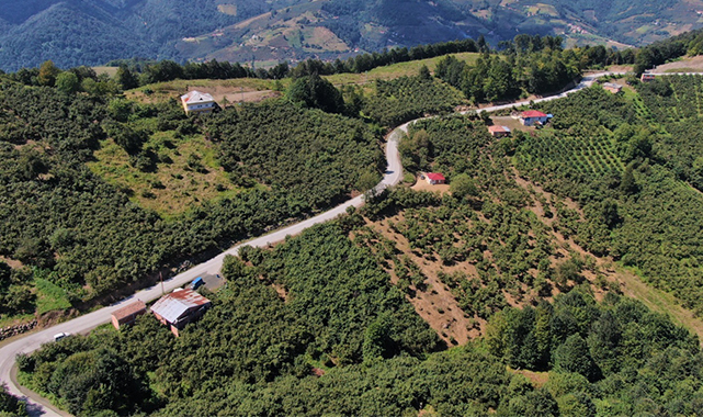 Ulaşım çilesi bitti, mahalleliyi sevindiren hizmet