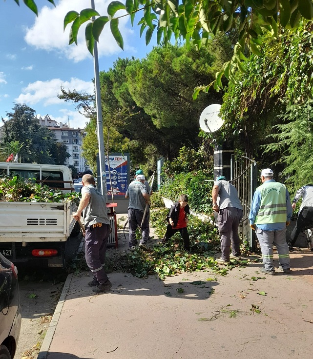 Başkan Demirtaş'un yeşil alan hassasiyeti
