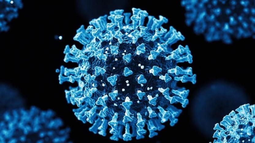 Eris varyantı Türkiye'de görüldü mü? Sağlık Bakanı Fahrettin Koca açıkladı