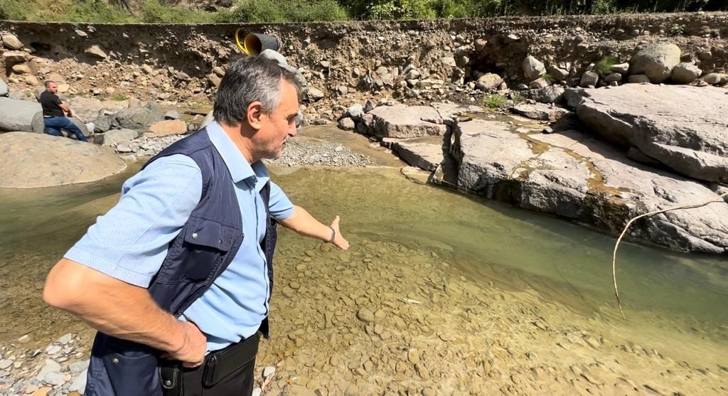 Samsun'da suya çimento karıştı binlerce balık öldü!