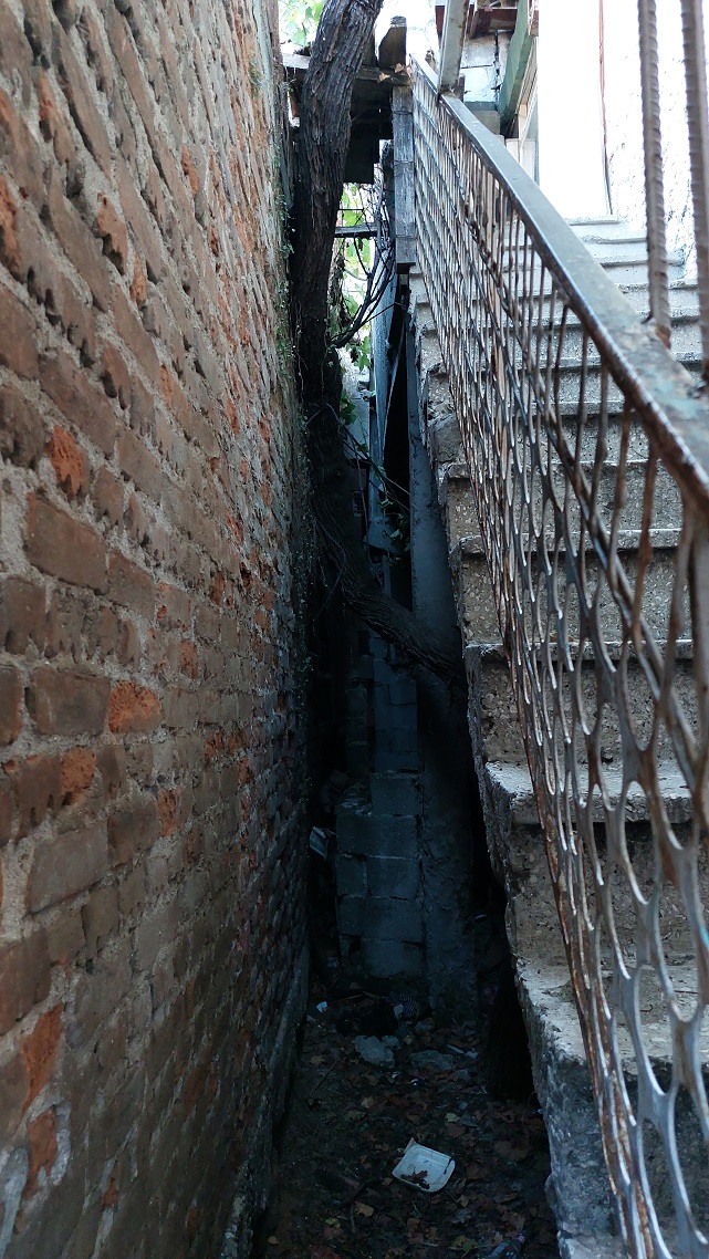 Samsun'da Filistinli çocuk çatıdan düştü!