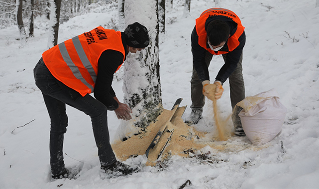 Atakum’da sokak hayvanları için büyük dayanışma