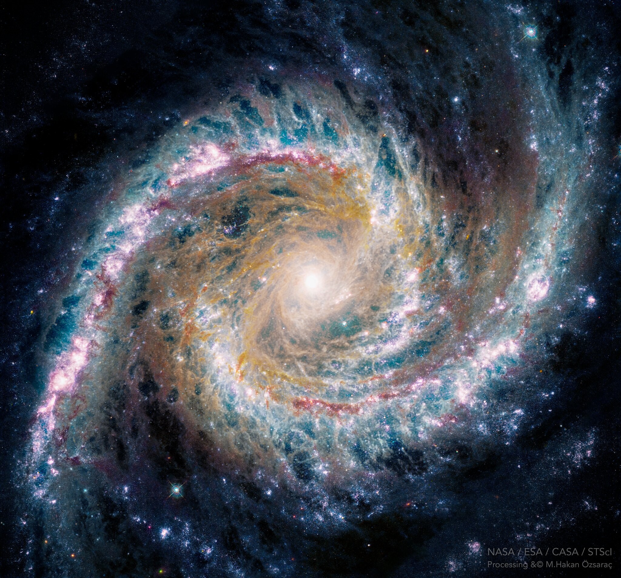 Samsun’daki Türk doktorun fotoğraf sanatı dünyaya açıldı