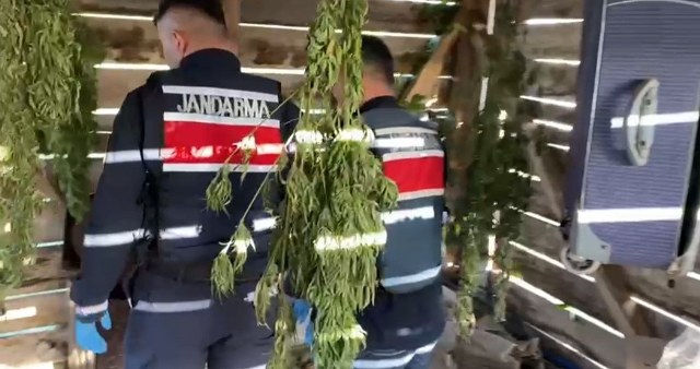 Samsun'un Tekkeköy ilçesinde dev operasyon! 23 kilo esrar ele geçirildi