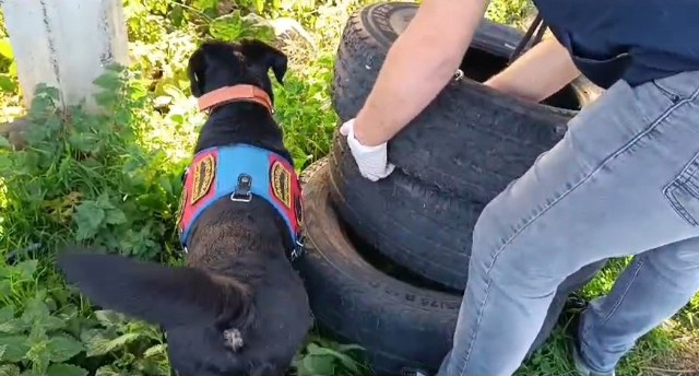 Samsun'un Tekkeköy ilçesinde dev operasyon! 23 kilo esrar ele geçirildi