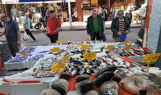 Samsun'da hamsinin fiyatı ucuzladı