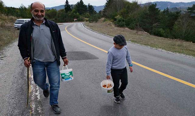 Samsun'da 'Kanlıca mantar' sezonu açıldı