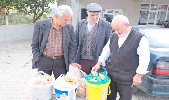 Samsun'da 'Kanlıca mantar' sezonu açıldı