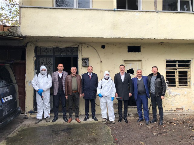 Samsun'da kahverengi kokarcayla mücadele sürüyor