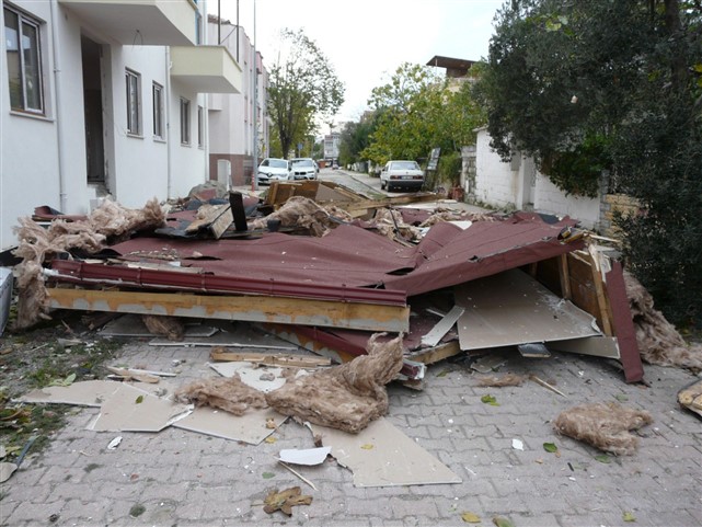 Sinop'ta fırtına ağaçları devirdi çatıları uçurdu