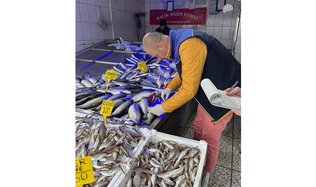 Samsun'da balıkçılık sektörü denetlendi
