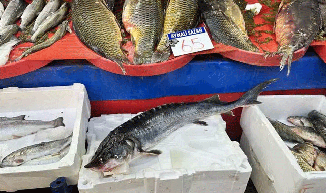 Balıkçının ağına iki milyon lira değerinde balık takıldı