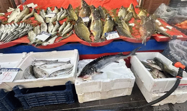 Balıkçının ağına iki milyon lira değerinde balık takıldı