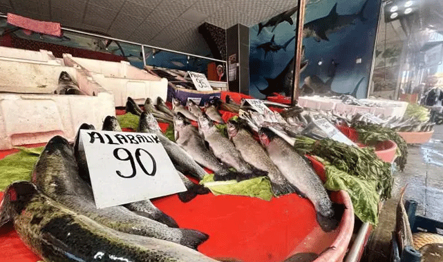 Balıkçının ağına iki milyon lira değerinde balık takıldı