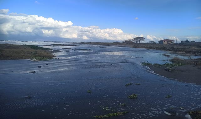 Bafra'nın Fener Mahallesi sular altında kaldı!