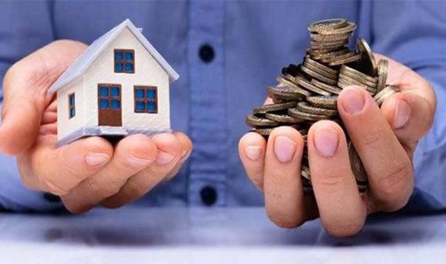 Kiracı vatandaşların ocağına incir ağacı dikecek haber!