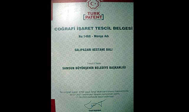 Salıpazarı'nda yüzde 72 kestane oranına sahip kestane balı tanıtıldı