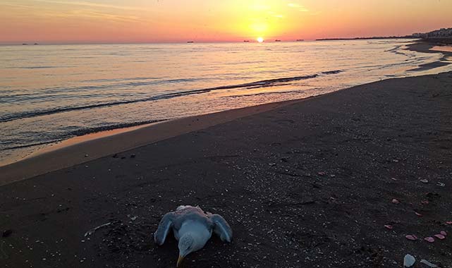 Samsun'dan dev turizm atağı!