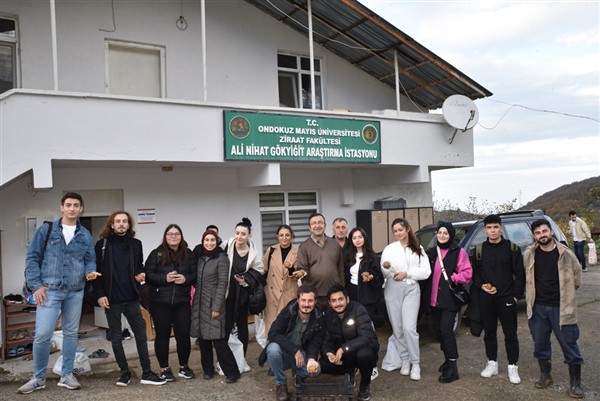 Samsun'da üniversitelilerden kivi hasadı