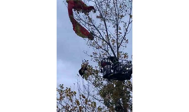 Samsun'da yamaç paraçütçü saatlerce ağaca asılı kaldı!