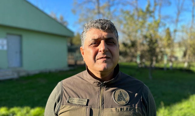 Samsun'da 87 kızıl geyik doğaya salındı