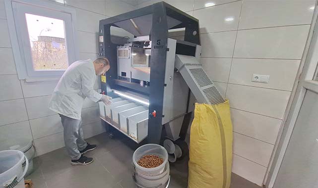 Bafra'da fındık işleme tesisi hizmete girdi