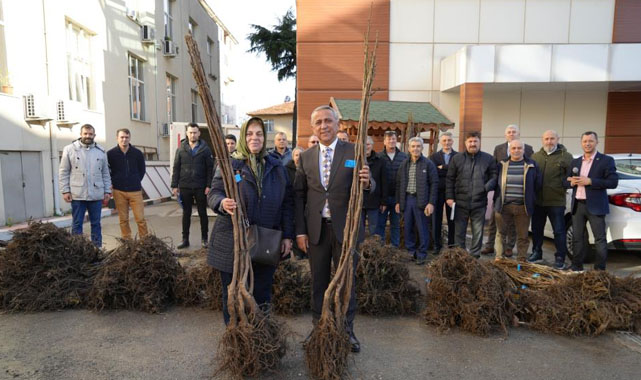 Samsun'da çiftçiye fidanı desteği