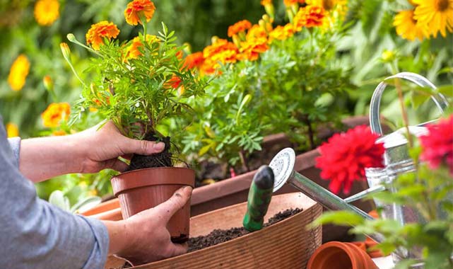 Yıllbaşında sevdiklerime ne hediye alsam?