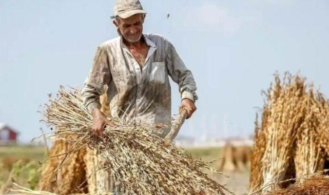 Tarımsal destekler için son tarih yaklaşıyor