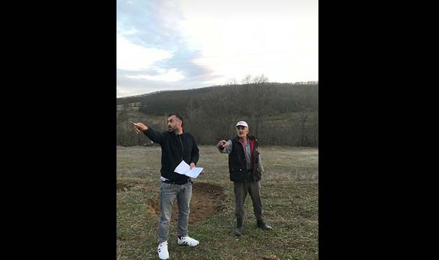 İşte Samsun'da tarihi değerlere ait örnek ağaç