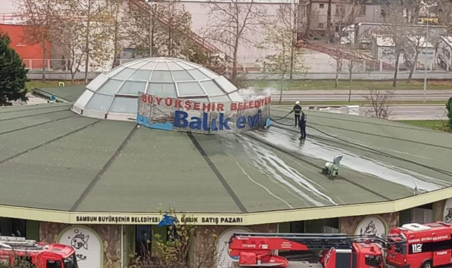 Samsun Balık Evi'nde yangın!