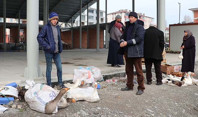 Samsun Havza'da tirit sezonu! Kaz satışları arttı