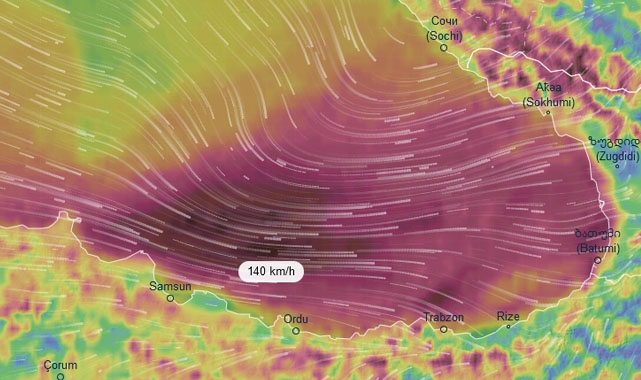 Samsunlular dikkat! 13 yıldır görülmedi