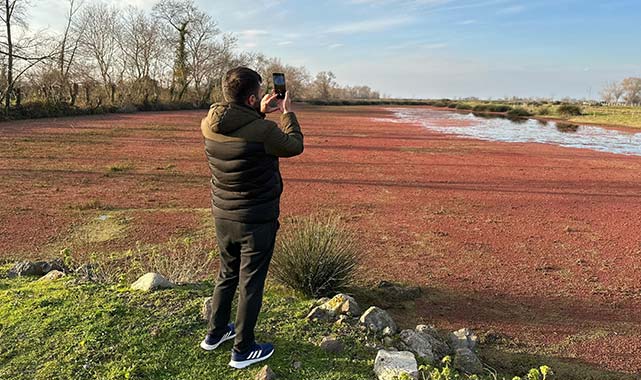 Samsun'un gözdesi: Kızılırmak Deltası doğa tutkunlarını büyülüyor!