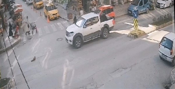 İki aracın ezdiği kedinin yardımına esnaf koştu