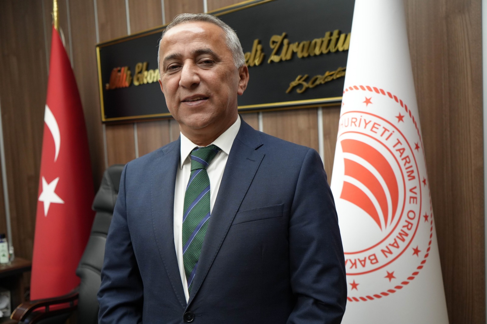 Samsun'da zeytin üretimi artıyor! Fabrikalar yolda