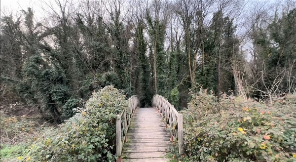 Bu ormana bilim adamı olmayan giremiyor